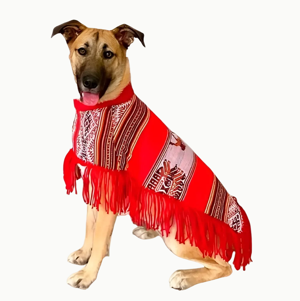 Peruvian Warm Dog Ponchos | Lucio Fabrics (Coming Soon)