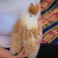 Person holding a plush alpaca toy with a colorful background