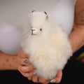 Person holding a small white plush alpaca toy against a neutral background