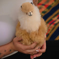 Person holding a small plush llama toy with a colorful background