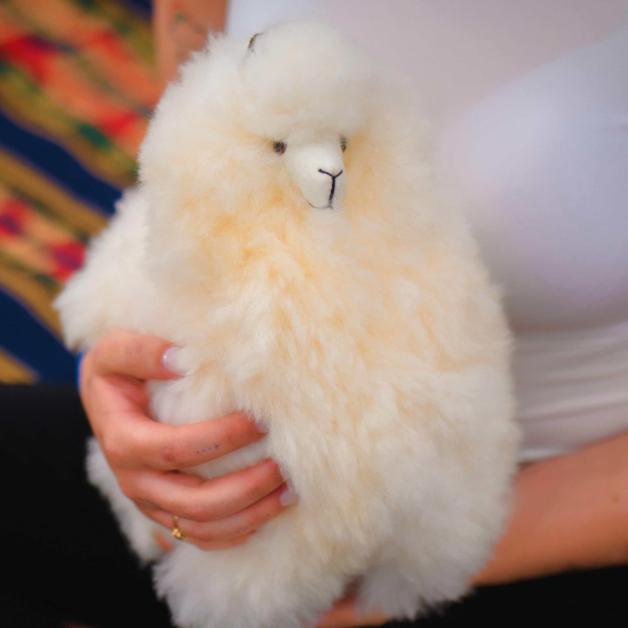 Person holding a fluffy alpaca white toy with a neutral expression against a colorful background