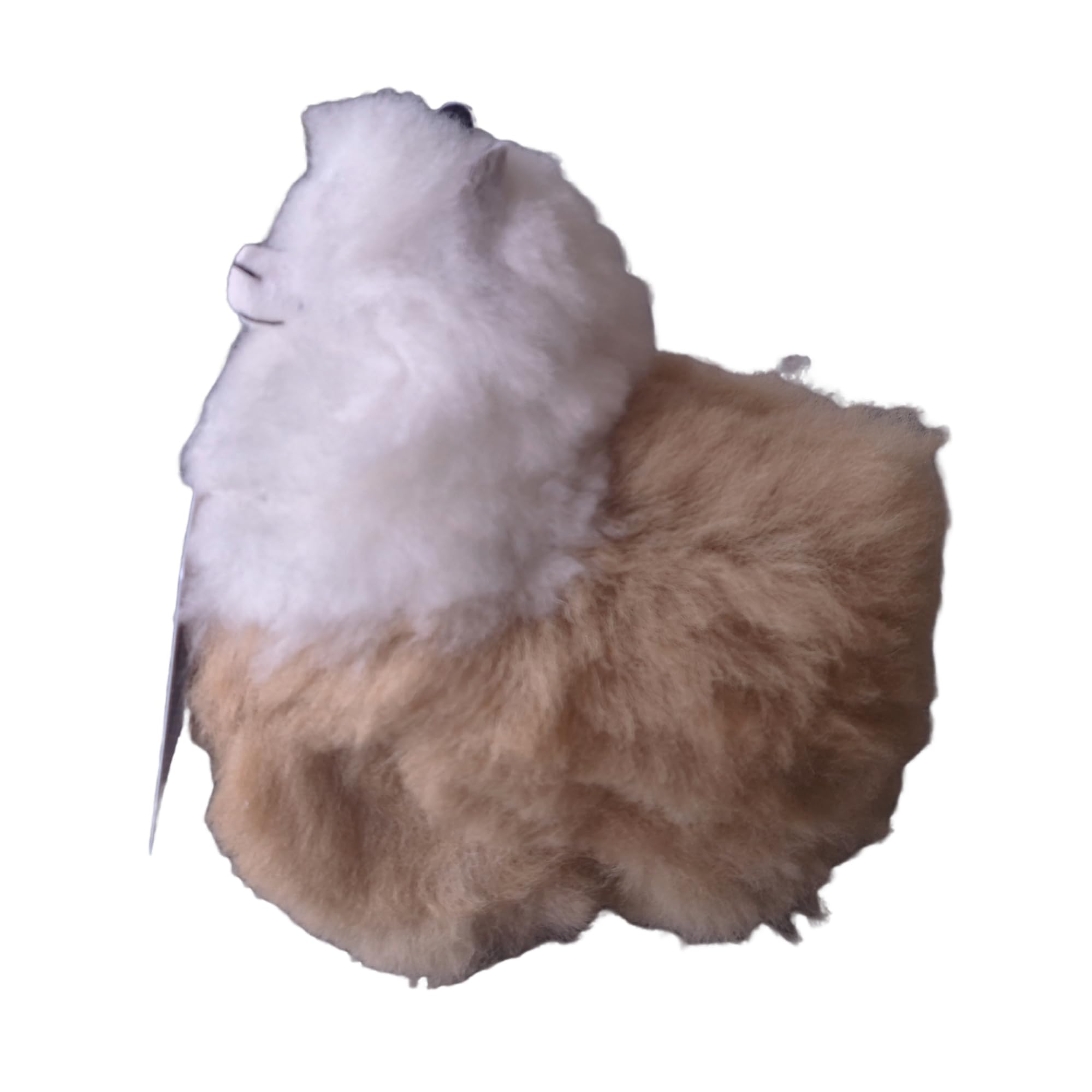 Plush toy resembling a llama with white and brown fur on a white background