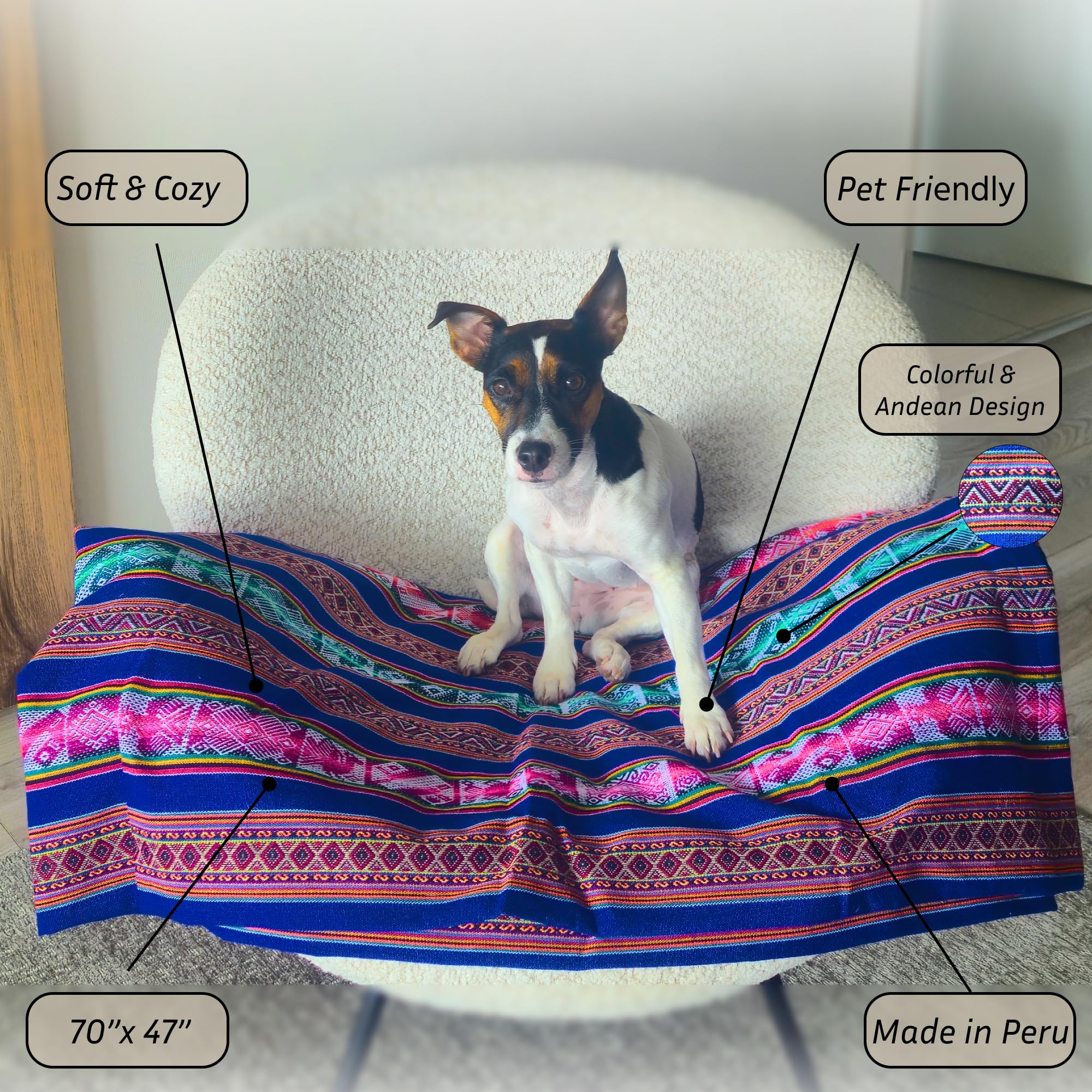 Dog sitting on a colorful striped pet bed with text highlighting features and dimensions.