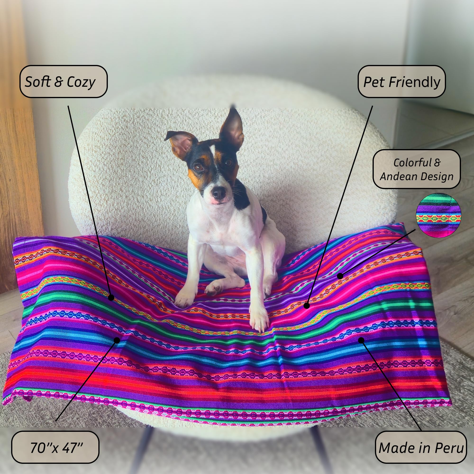 Dog sitting on a colorful blanket with text labels describing features and dimensions.