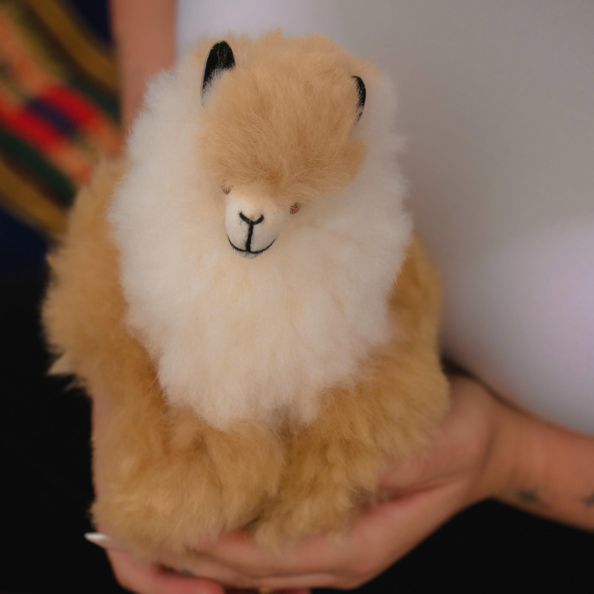 Plush toy llama held in hands with a blurred background